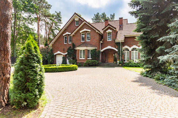 Best Professional Driveway Pavers  in Los Lunas, NM